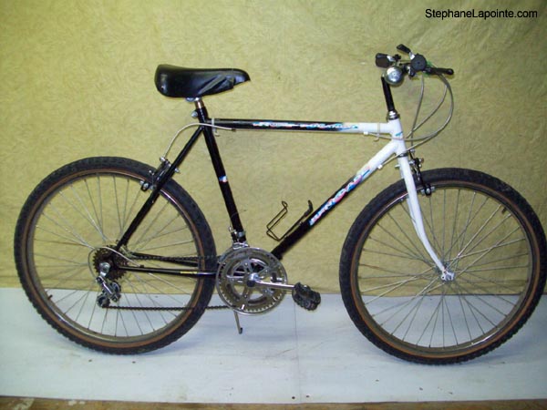 Vélo Leader Durango - StephaneLapointe.com