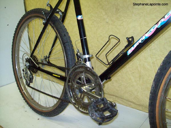 Vélo Leader Durango - StephaneLapointe.com