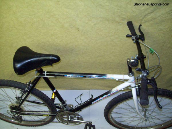 Vélo Leader Durango - StephaneLapointe.com