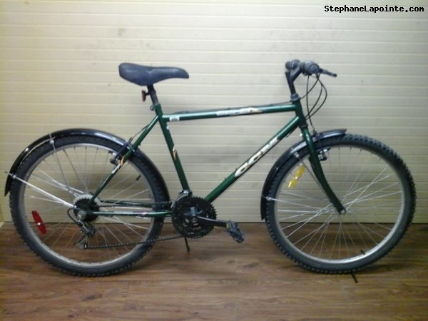Vélo CCM Echo - StephaneLapointe.com