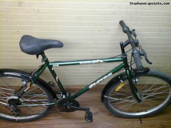 Vélo CCM Echo - StephaneLapointe.com