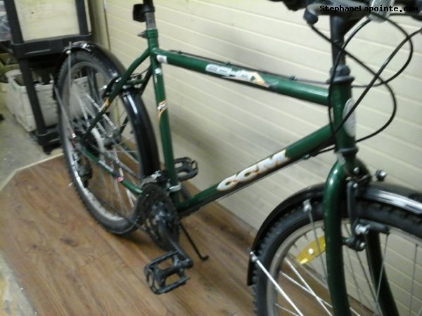 Vélo CCM Echo - StephaneLapointe.com