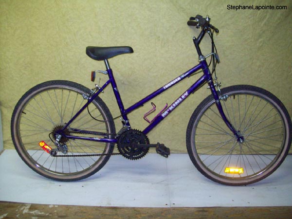 Vélo McKinley Thunder - StephaneLapointe.com