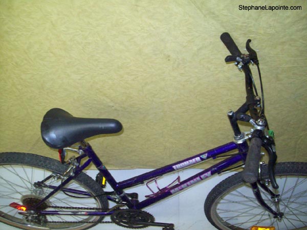 Vélo McKinley Thunder - StephaneLapointe.com