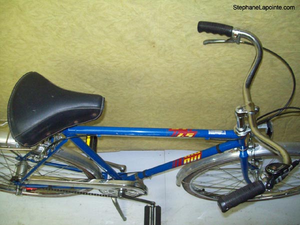 Vélo Niji I-5 - StephaneLapointe.com