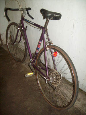 Vélo CCM Concorde - StephaneLapointe.com