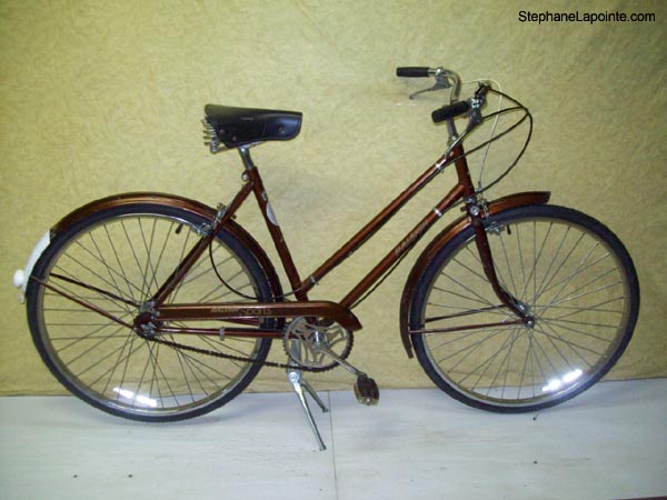 Vélo Raleigh Sports - StephaneLapointe.com