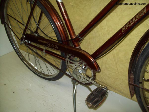 Vélo Raleigh Sports - StephaneLapointe.com