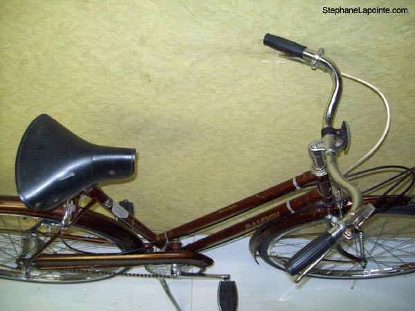 Vélo Raleigh Sports - StephaneLapointe.com