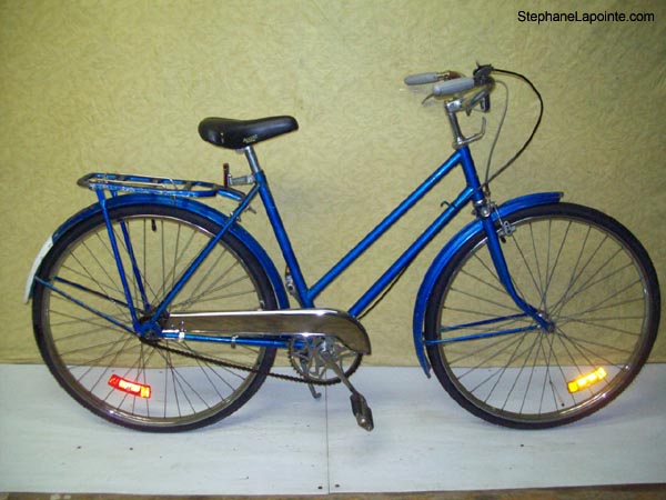 Vélo Raleigh Sports - StephaneLapointe.com