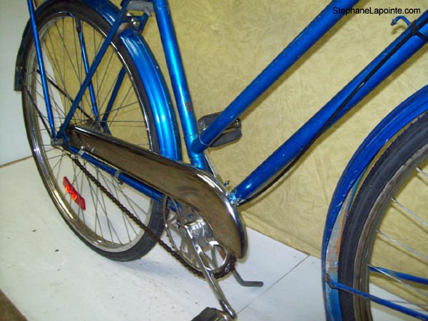 Vélo Raleigh Sports - StephaneLapointe.com