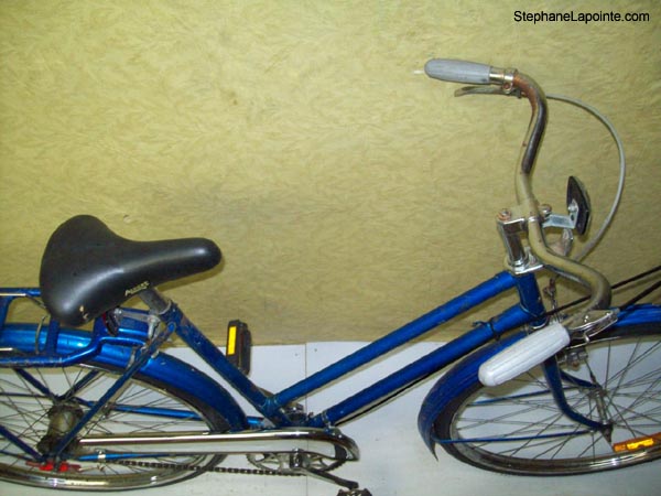 Vélo Raleigh Sports - StephaneLapointe.com