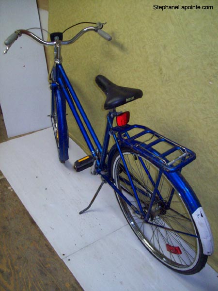Vélo Raleigh Sports - StephaneLapointe.com
