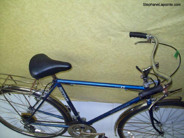 Vélo Free Spirit Brittany Te12 - StephaneLapointe.com