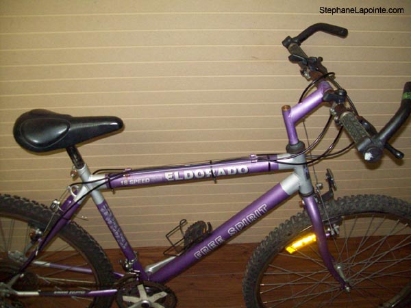Vélo Free Spirit Eldorado - StephaneLapointe.com