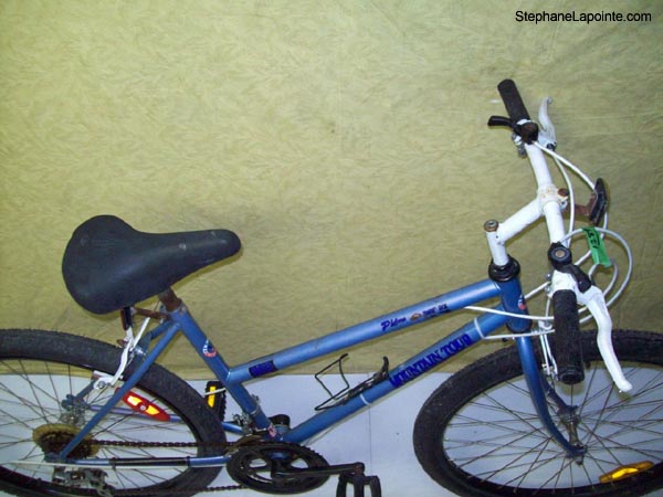 Vélo Mountain Tour Ridge Runner DX - StephaneLapointe.com
