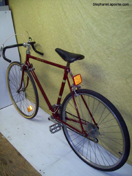 Vélo Venture Formule I12 - StephaneLapointe.com