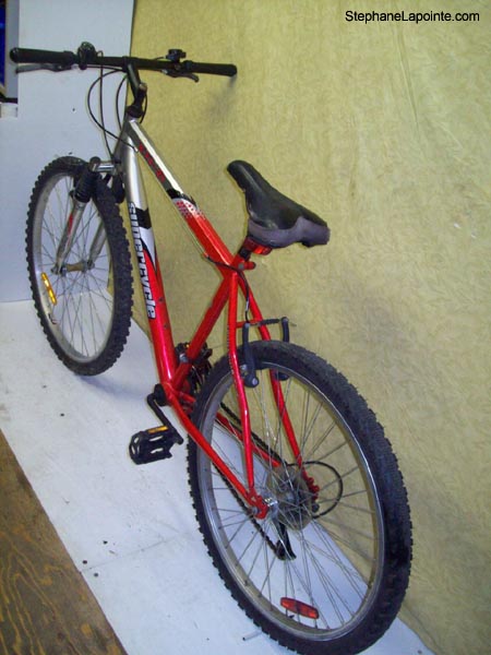 Vélo Supercycle XTI-21 - StephaneLapointe.com