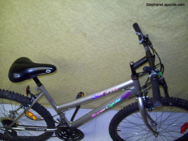 Vélo Supercycle Storm - StephaneLapointe.com