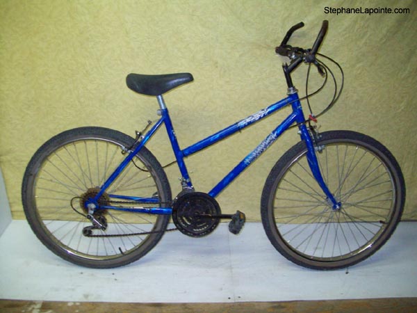 Vélo Mountain Tour Canyon Runner - StephaneLapointe.com
