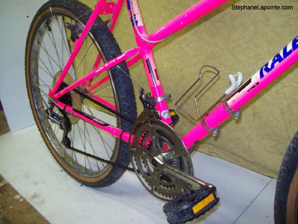 Vélo Raleigh Matter Horn - StephaneLapointe.com