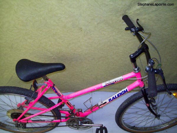 Vélo Raleigh Matter Horn - StephaneLapointe.com