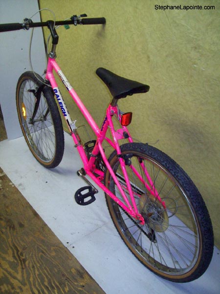 Vélo Raleigh Matter Horn - StephaneLapointe.com