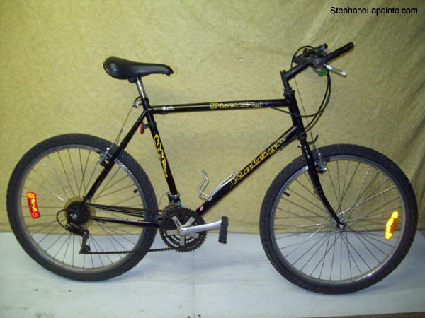 Vélo Raleigh Discovery - StephaneLapointe.com