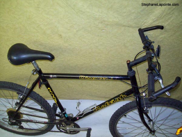 Vélo Raleigh Discovery - StephaneLapointe.com