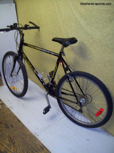 Vélo Raleigh Discovery - StephaneLapointe.com