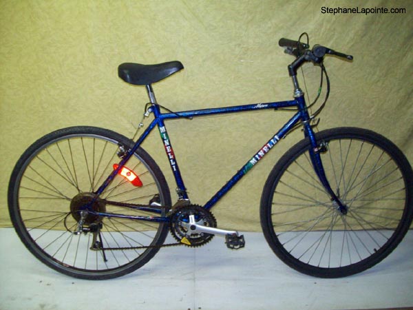 Vélo Minelli Mojave - StephaneLapointe.com