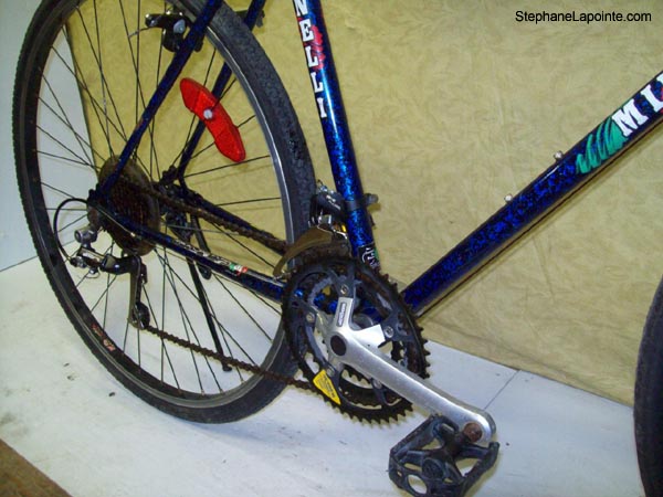 Vélo Minelli Mojave - StephaneLapointe.com
