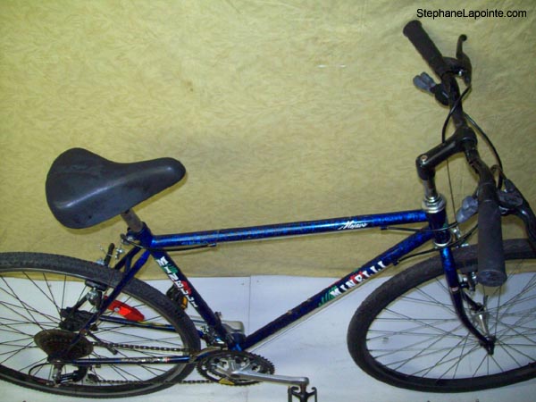 Vélo Minelli Mojave - StephaneLapointe.com
