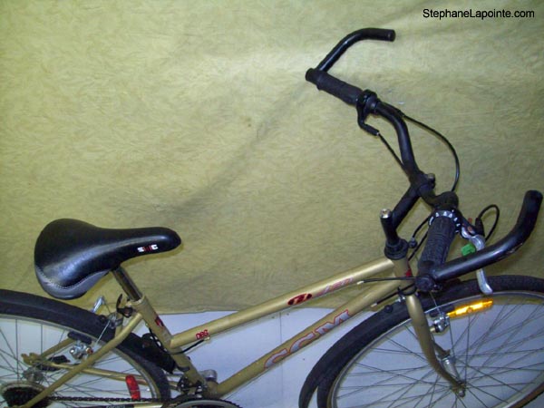 Vélo CCM H450 - StephaneLapointe.com