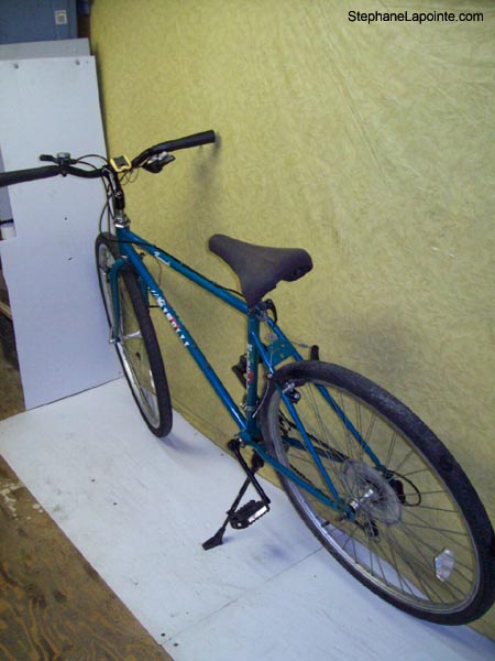 Vélo Minelli Promenade - StephaneLapointe.com