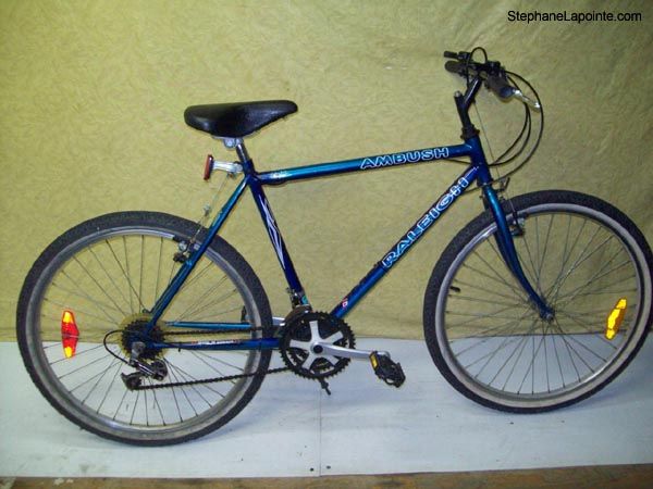 Vélo Raleigh Ambush - StephaneLapointe.com
