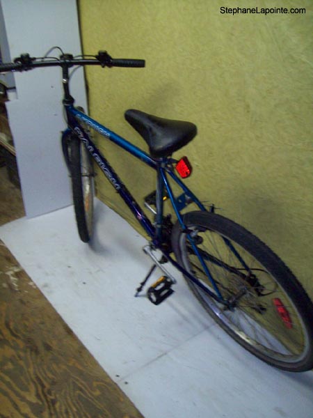 Vélo Raleigh Ambush - StephaneLapointe.com