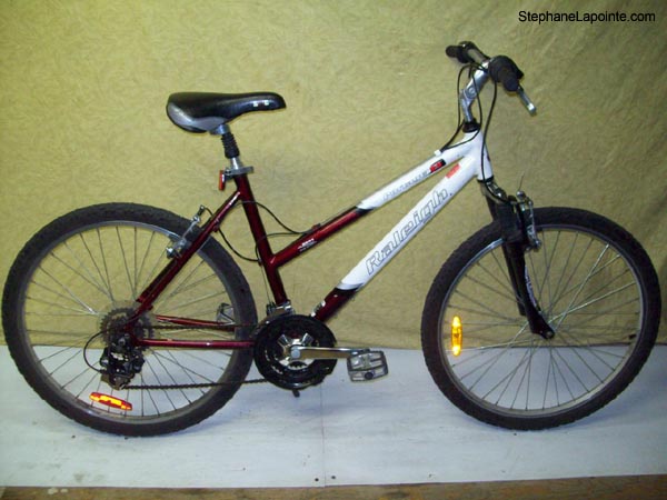 Vélo Raleigh Portage - StephaneLapointe.com