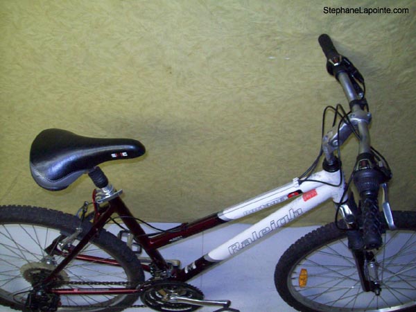 Vélo Raleigh Portage - StephaneLapointe.com