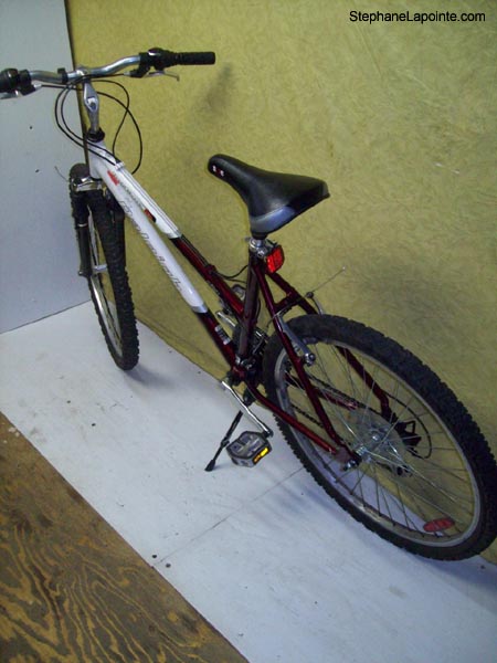 Vélo Raleigh Portage - StephaneLapointe.com