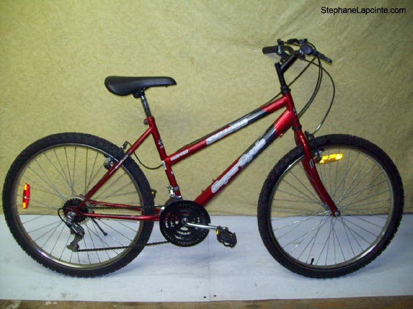 Vélo Supercycle SC1800 - StephaneLapointe.com
