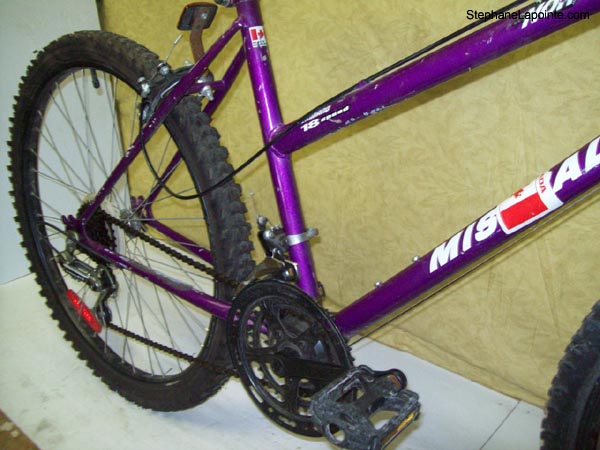 Vélo Northland Mirage - StephaneLapointe.com