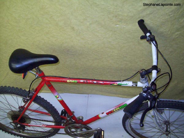 Vélo Precision PR6040 - StephaneLapointe.com