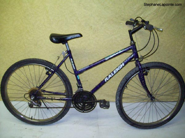 Vélo Raleigh Ambush - StephaneLapointe.com
