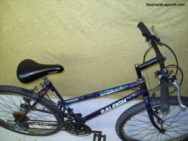 Vélo Raleigh Ambush - StephaneLapointe.com