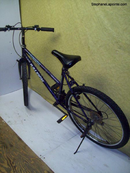 Vélo Raleigh Ambush - StephaneLapointe.com