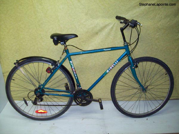 Vélo Minelli Promenade - StephaneLapointe.com