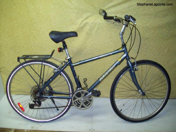 Vélo Miele Verona - StephaneLapointe.com