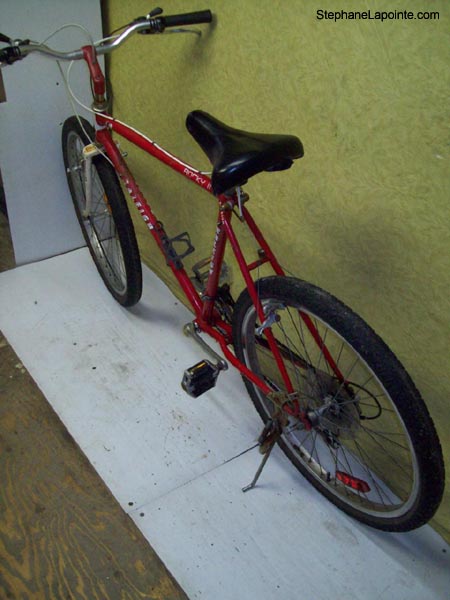 Vélo Raleigh Rocky II - StephaneLapointe.com