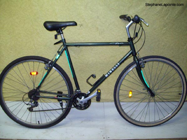 Vélo Minelli Dinastie - StephaneLapointe.com